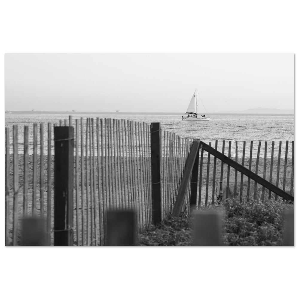 Driftward image 6