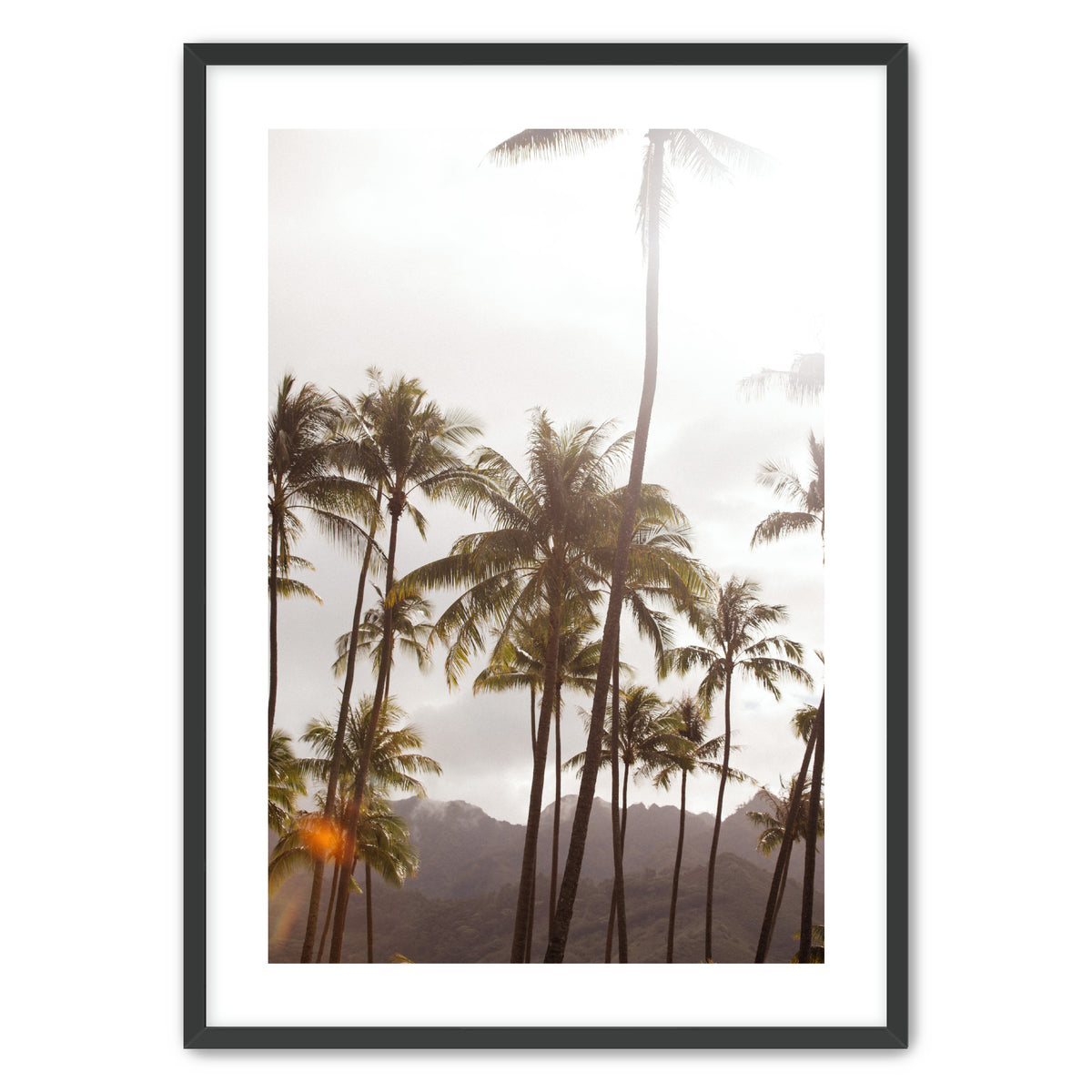 Island Light