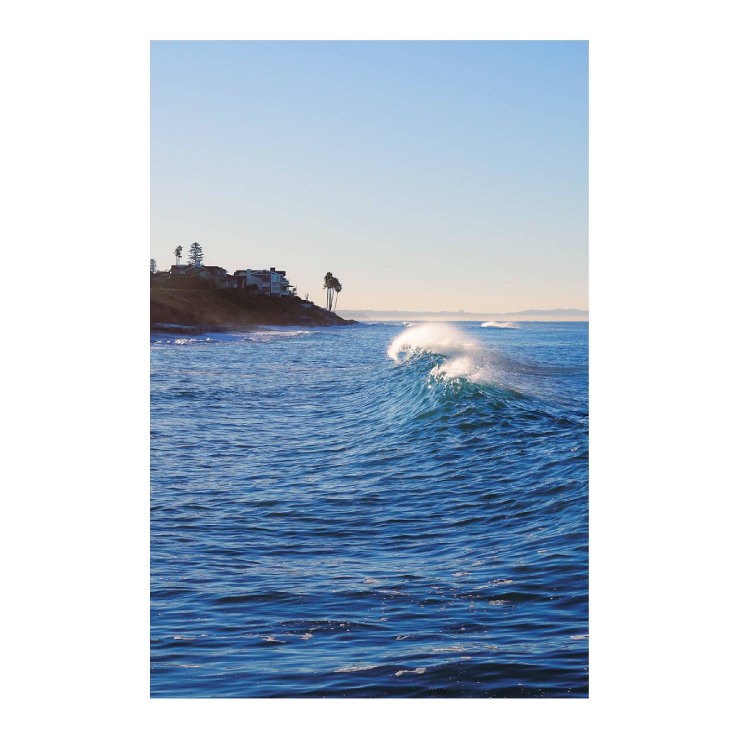 Morning Spray image 6