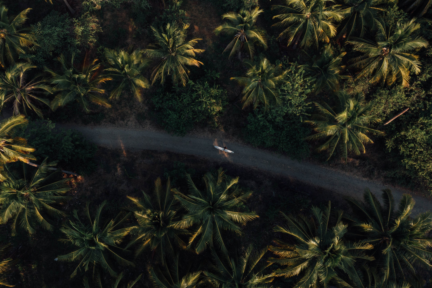 Jungle Therapy II image 6