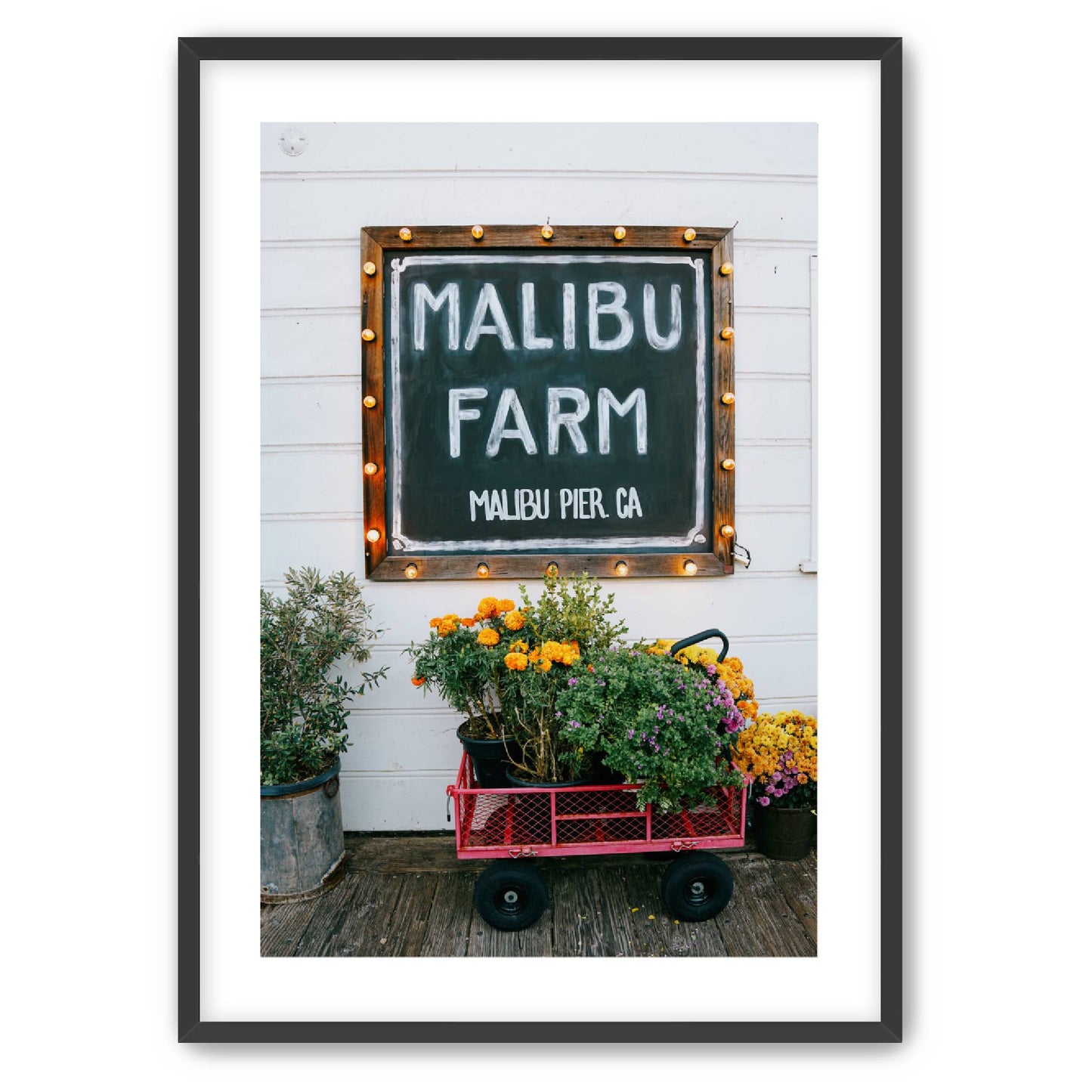 Farm Fresh image 0