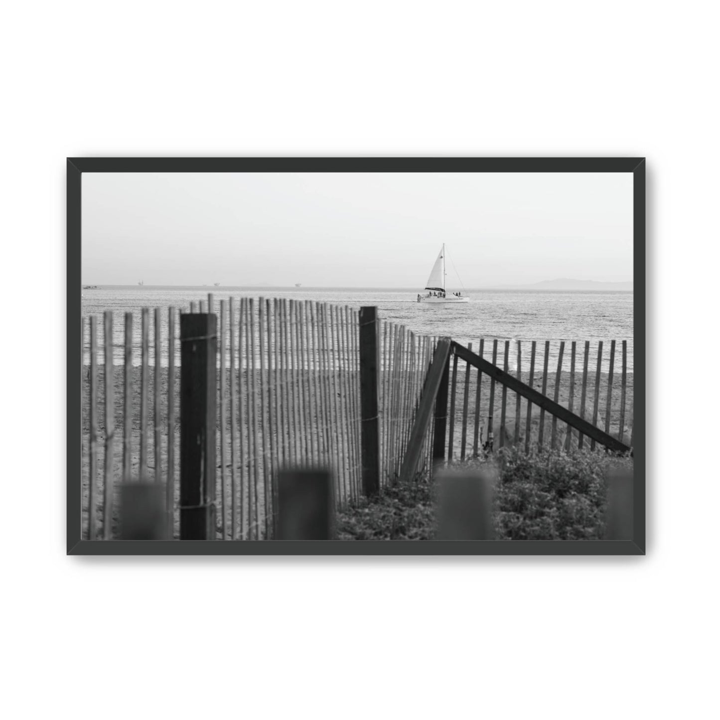 Driftward image 3