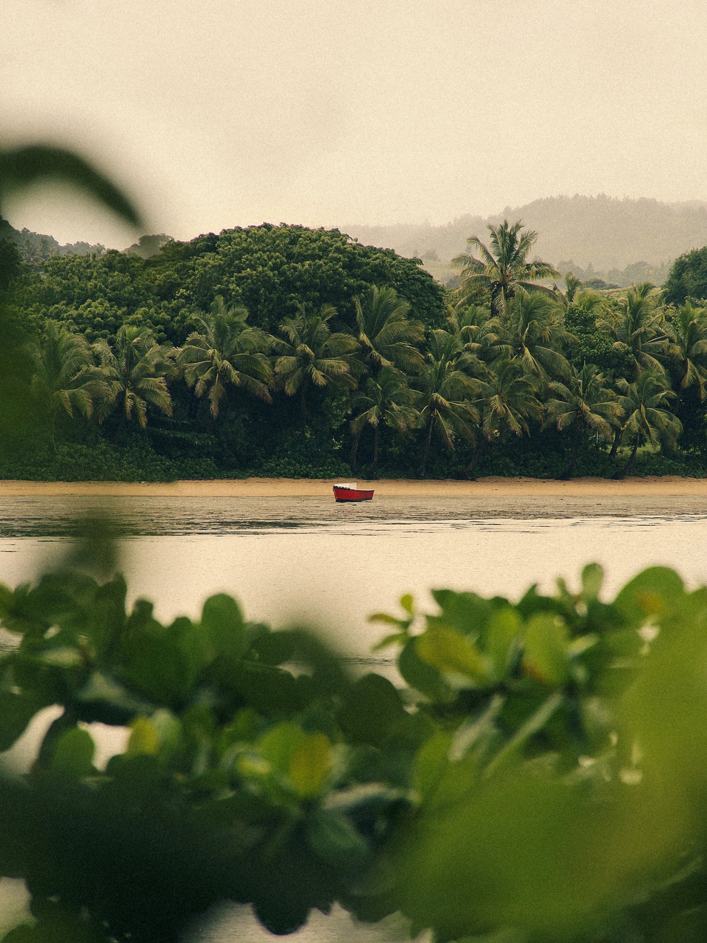 South Pacific Drift image 6