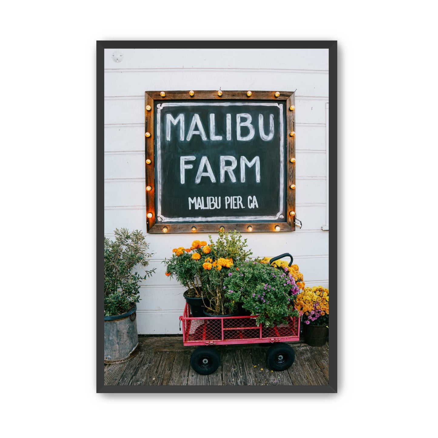 Farm Fresh image 3