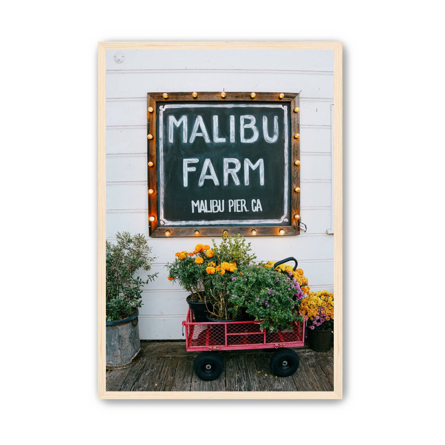 Farm Fresh image 4