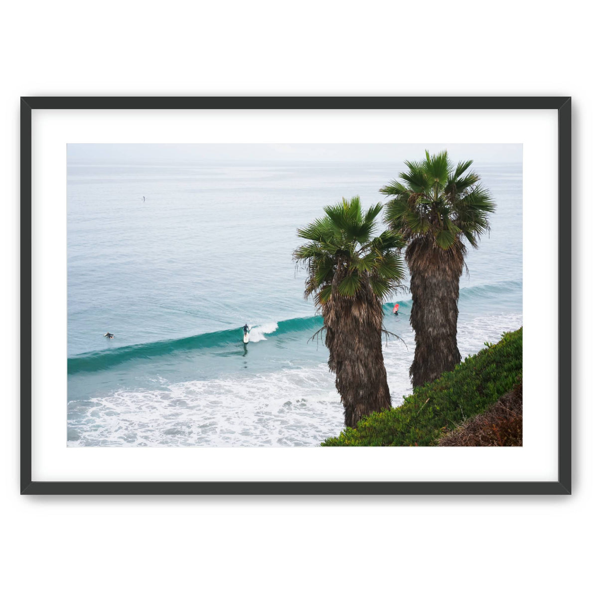 Sunday Swell