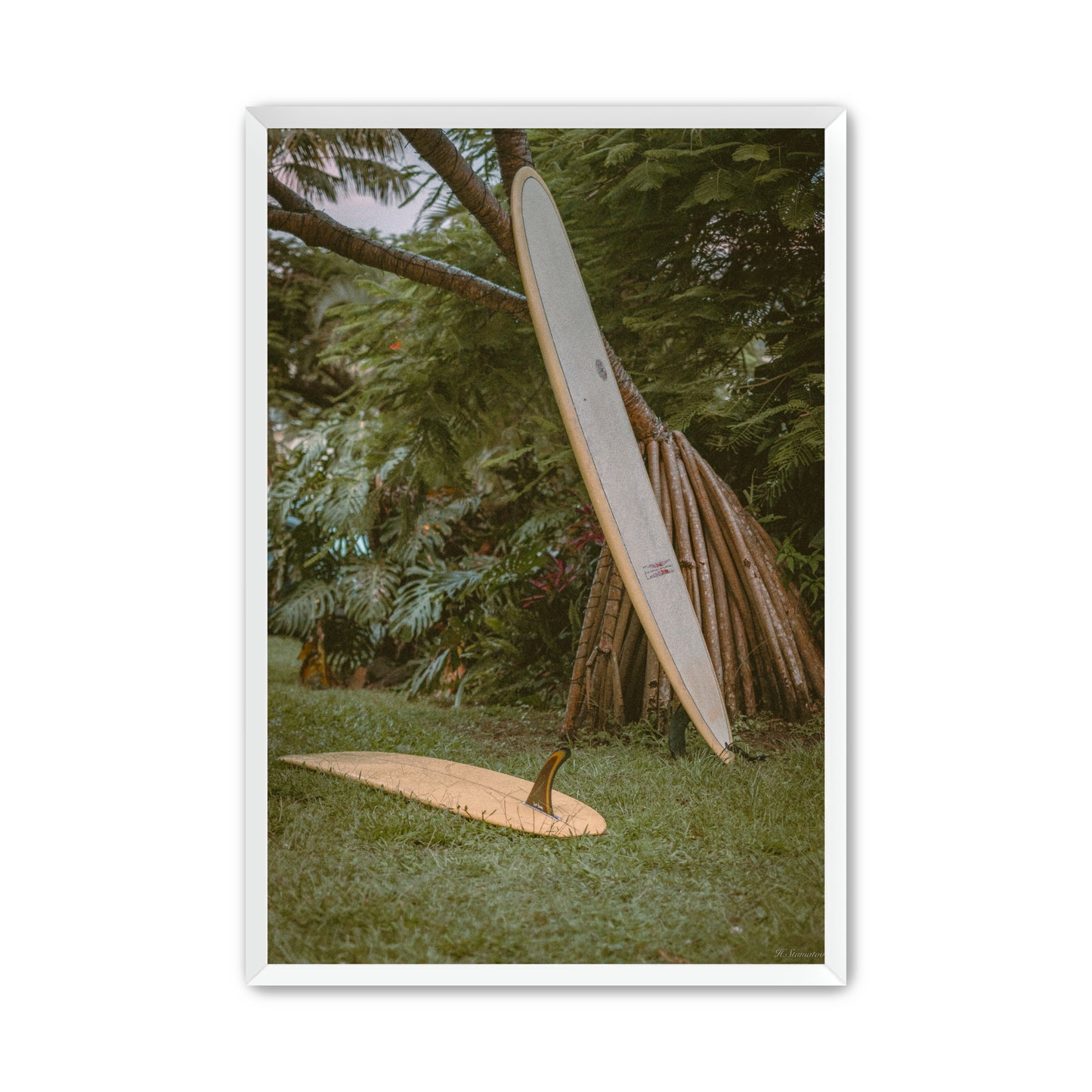 Sunny Coast Life image 4