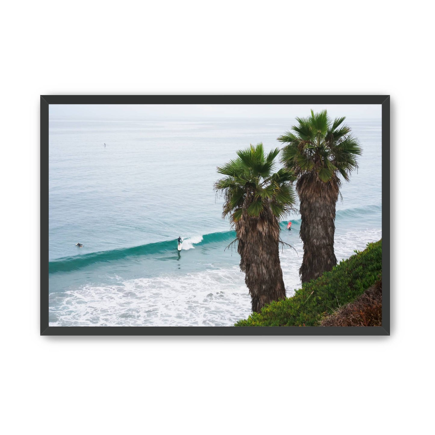 Sunday Swell image 3