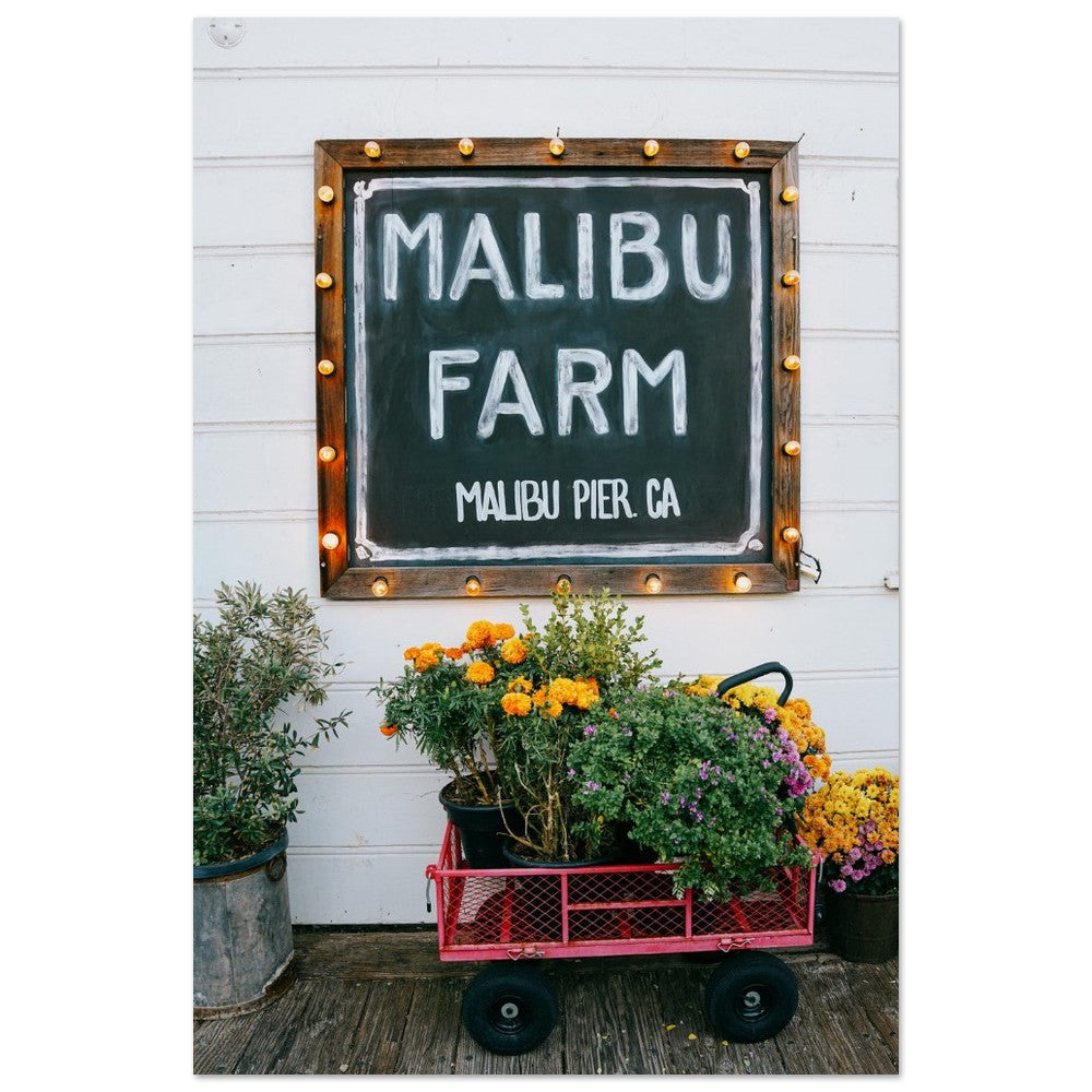 Farm Fresh image 6