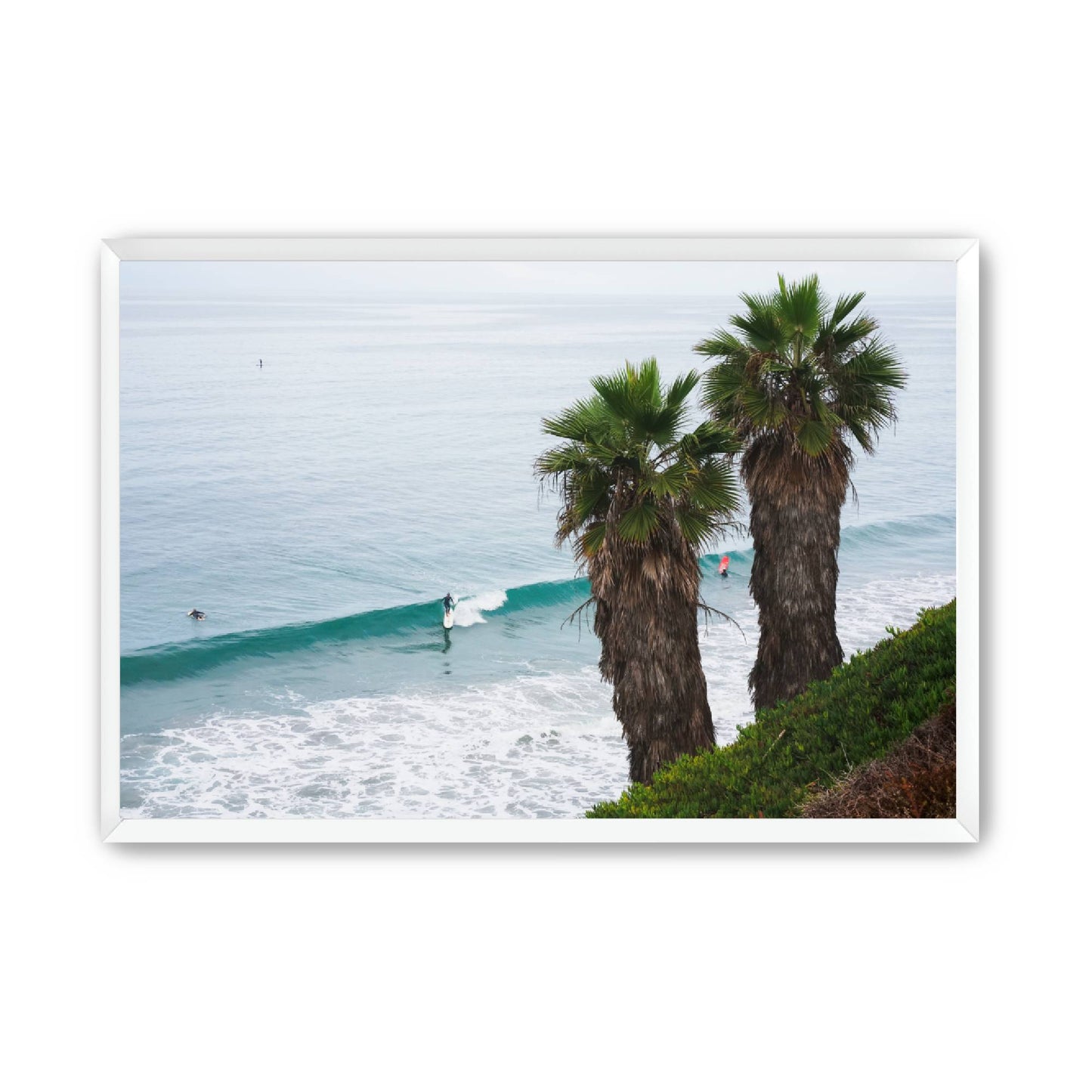 Sunday Swell image 4