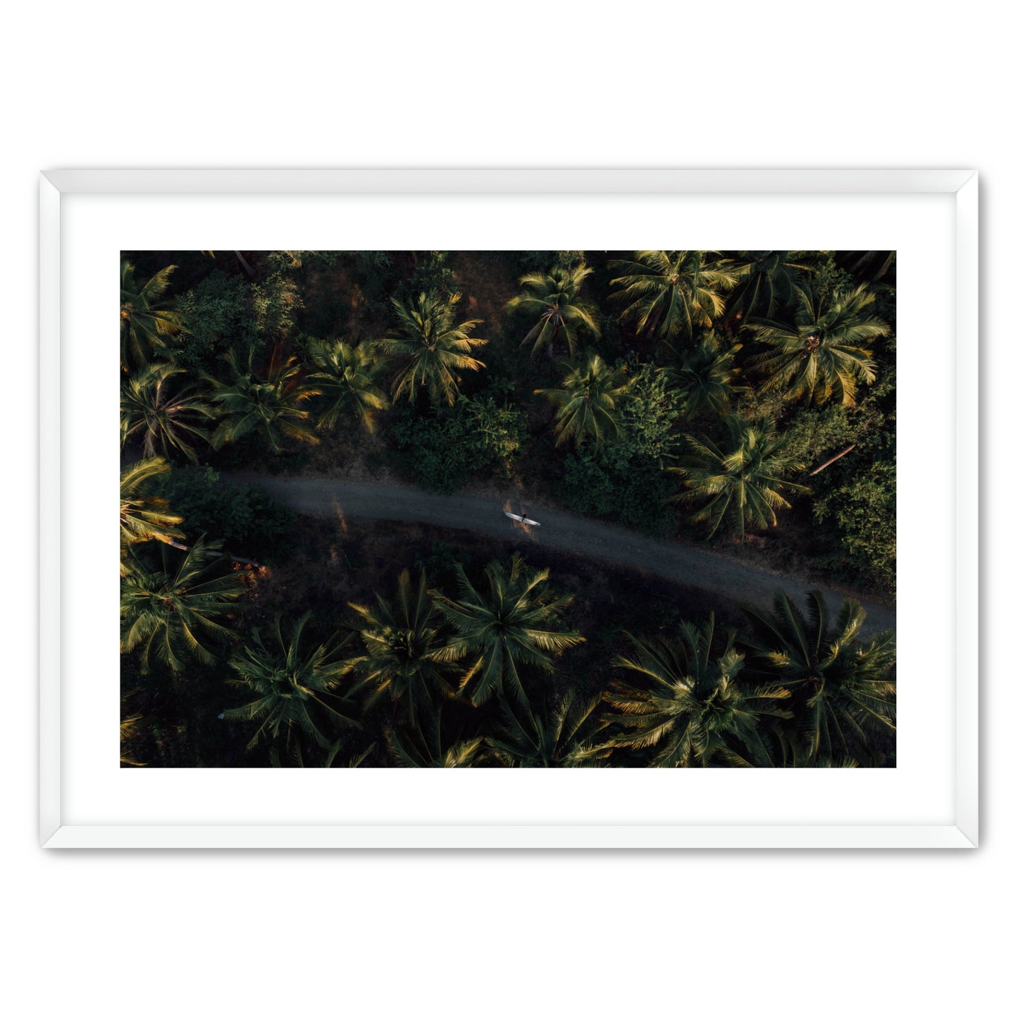 Jungle Therapy II image 1