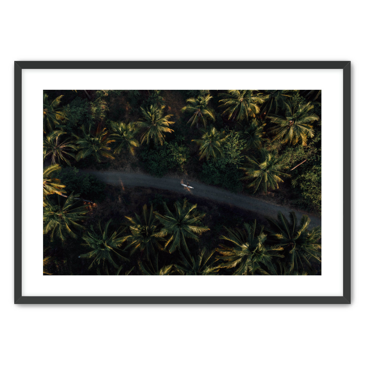 Jungle Therapy II