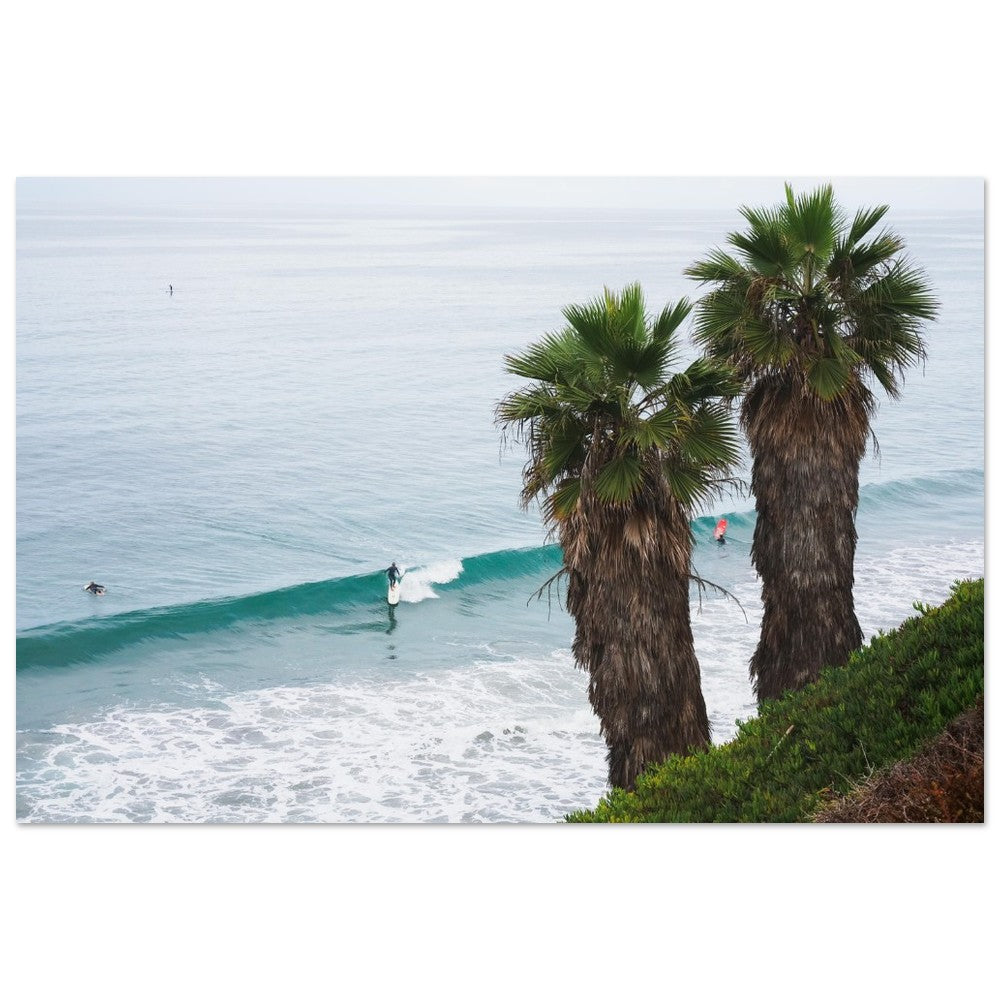 Sunday Swell image 6