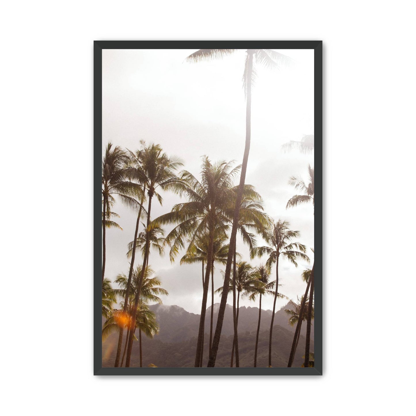 Island Light image 3