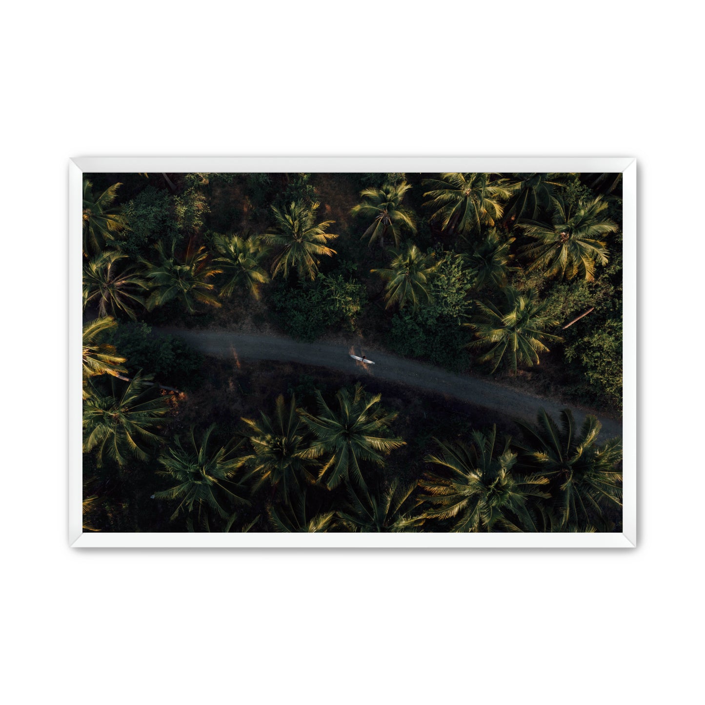 Jungle Therapy II image 4
