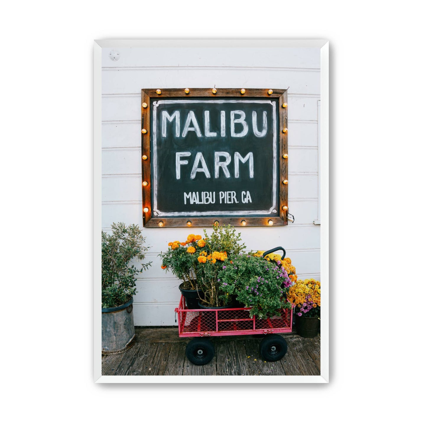 Farm Fresh image 5