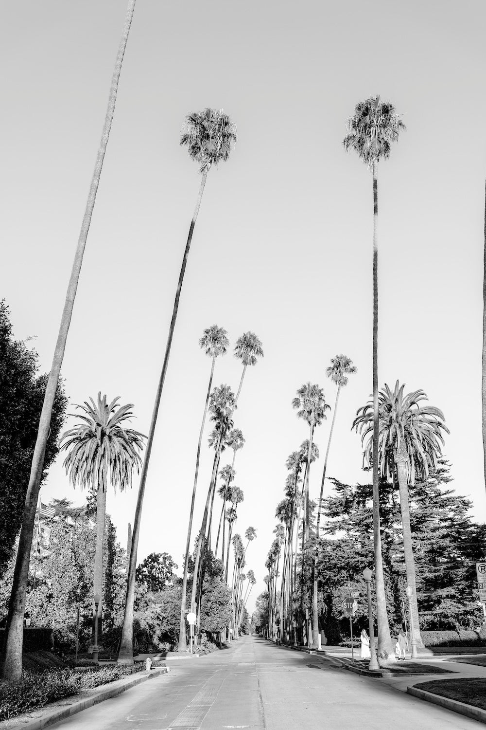 90210