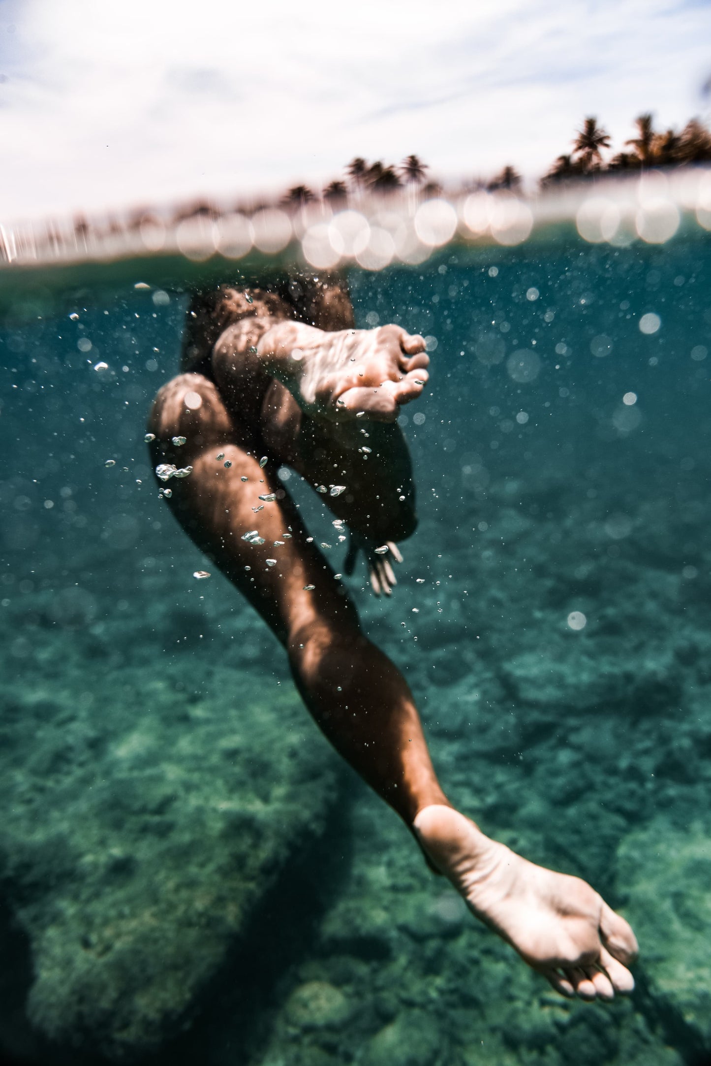 Morning Swim