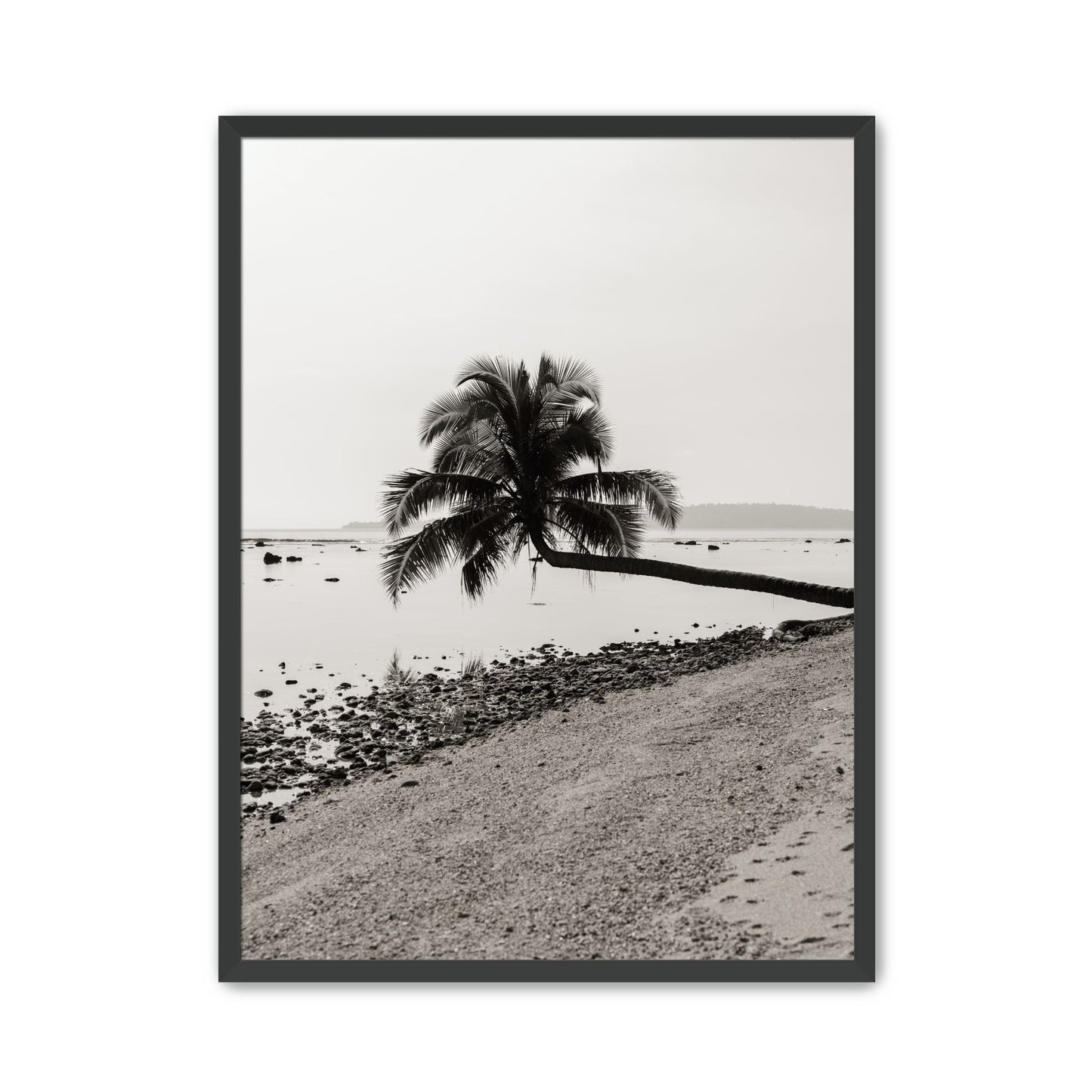 Fronds Above Water