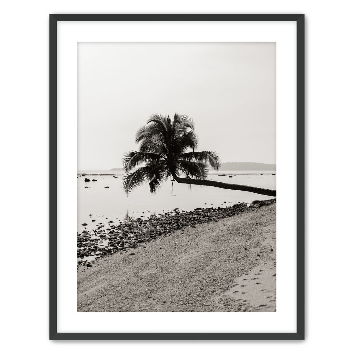 Fronds Above Water