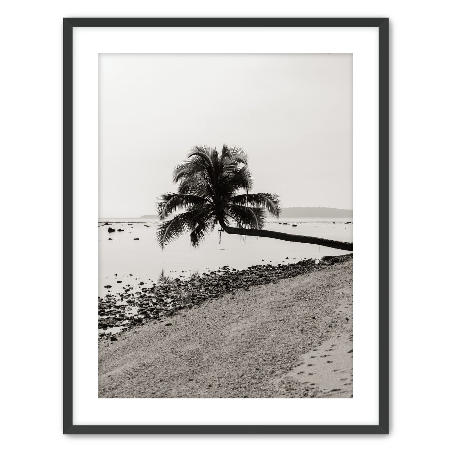 Fronds Above Water