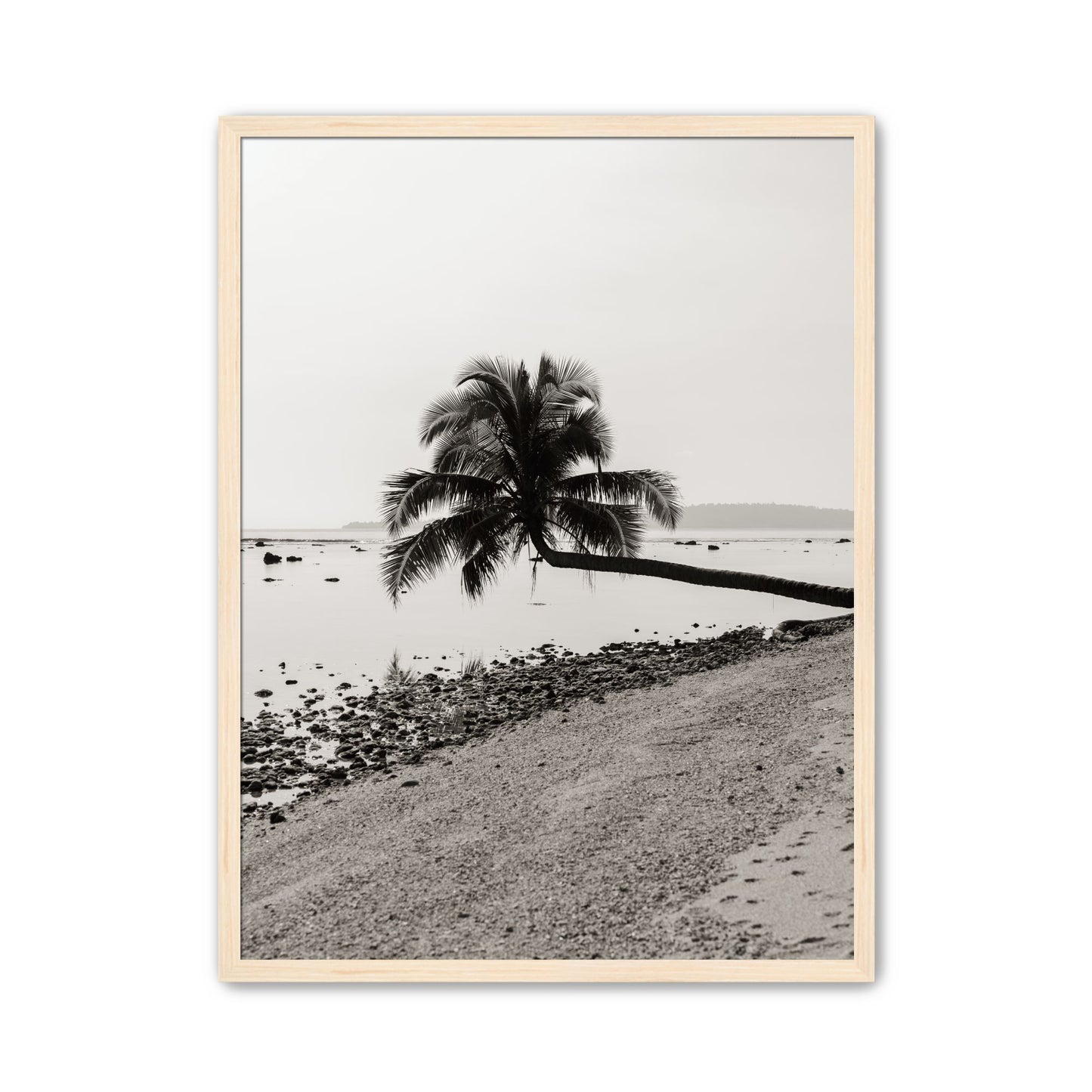 Fronds Above Water