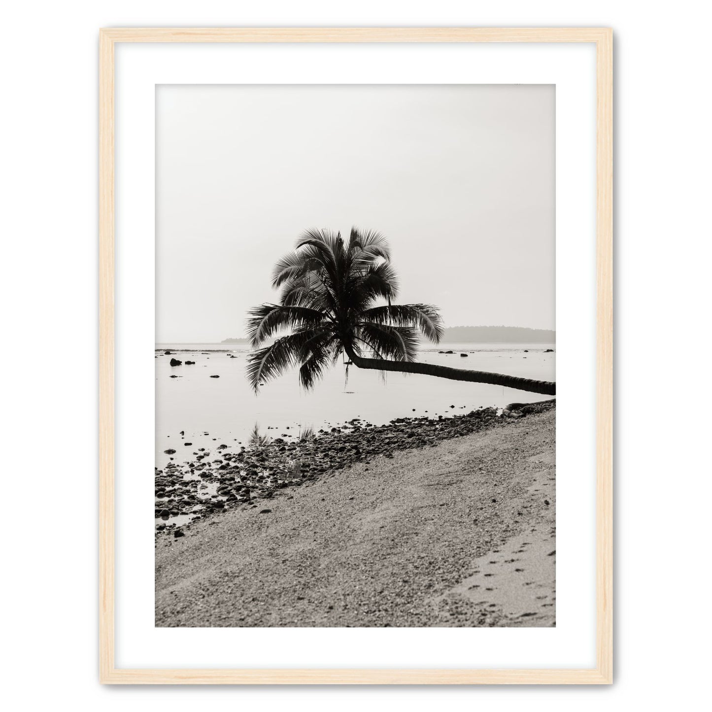 Fronds Above Water