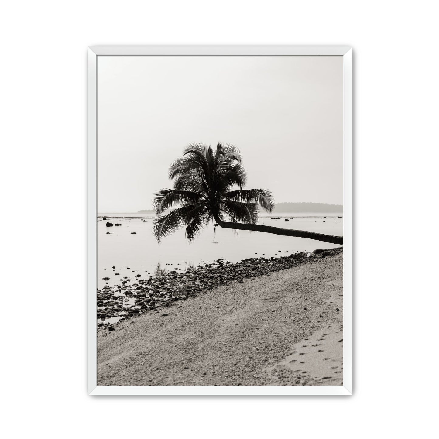 Fronds Above Water