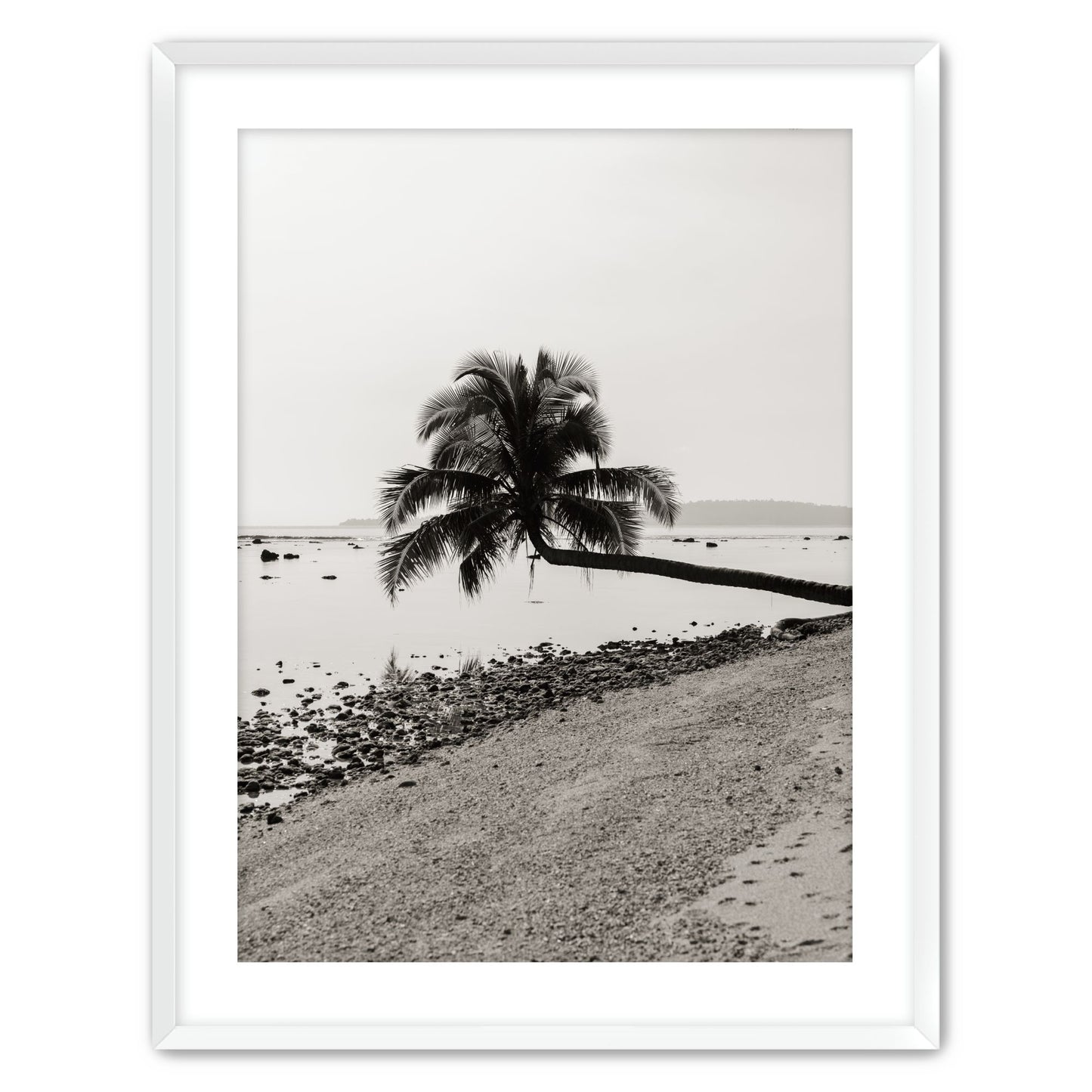 Fronds Above Water