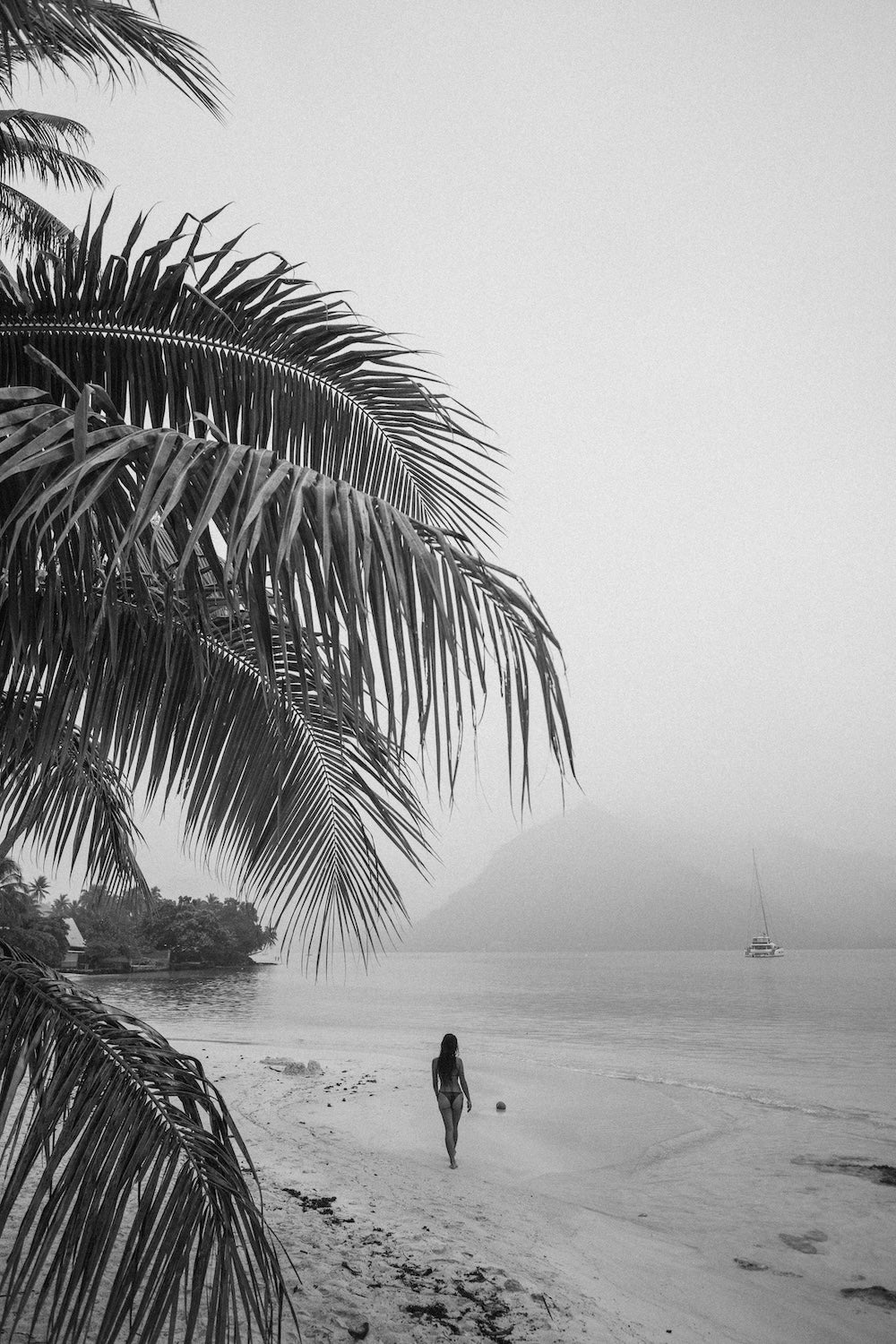 Isla Reverie
