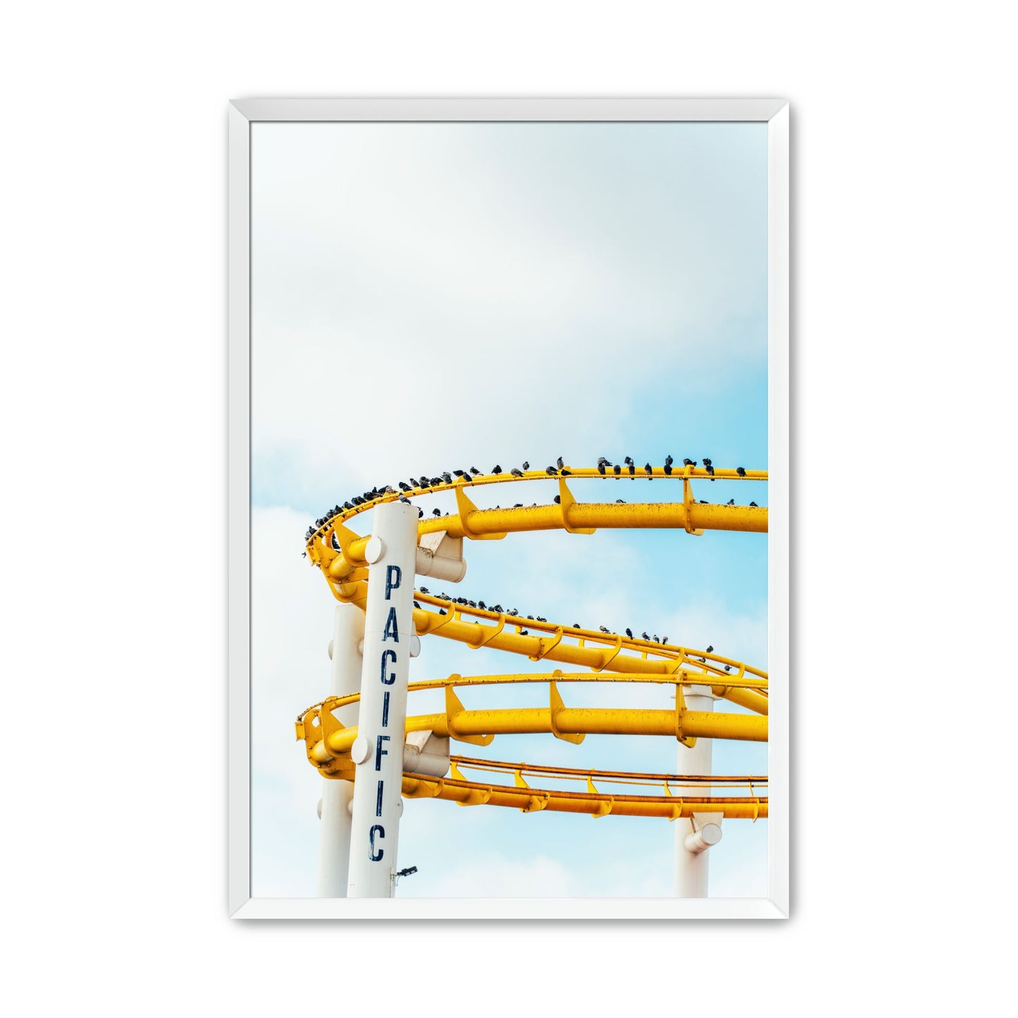 Pacific Coaster