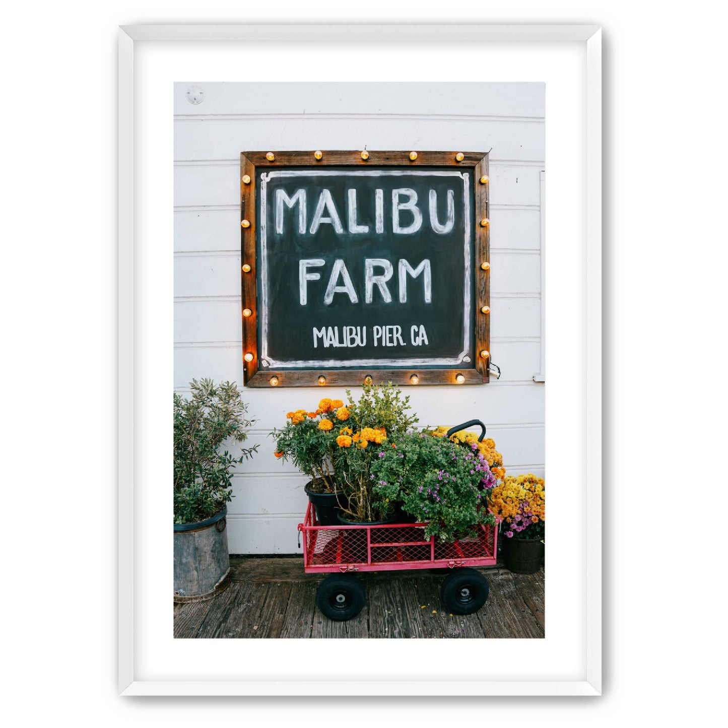 Farm Fresh image 1