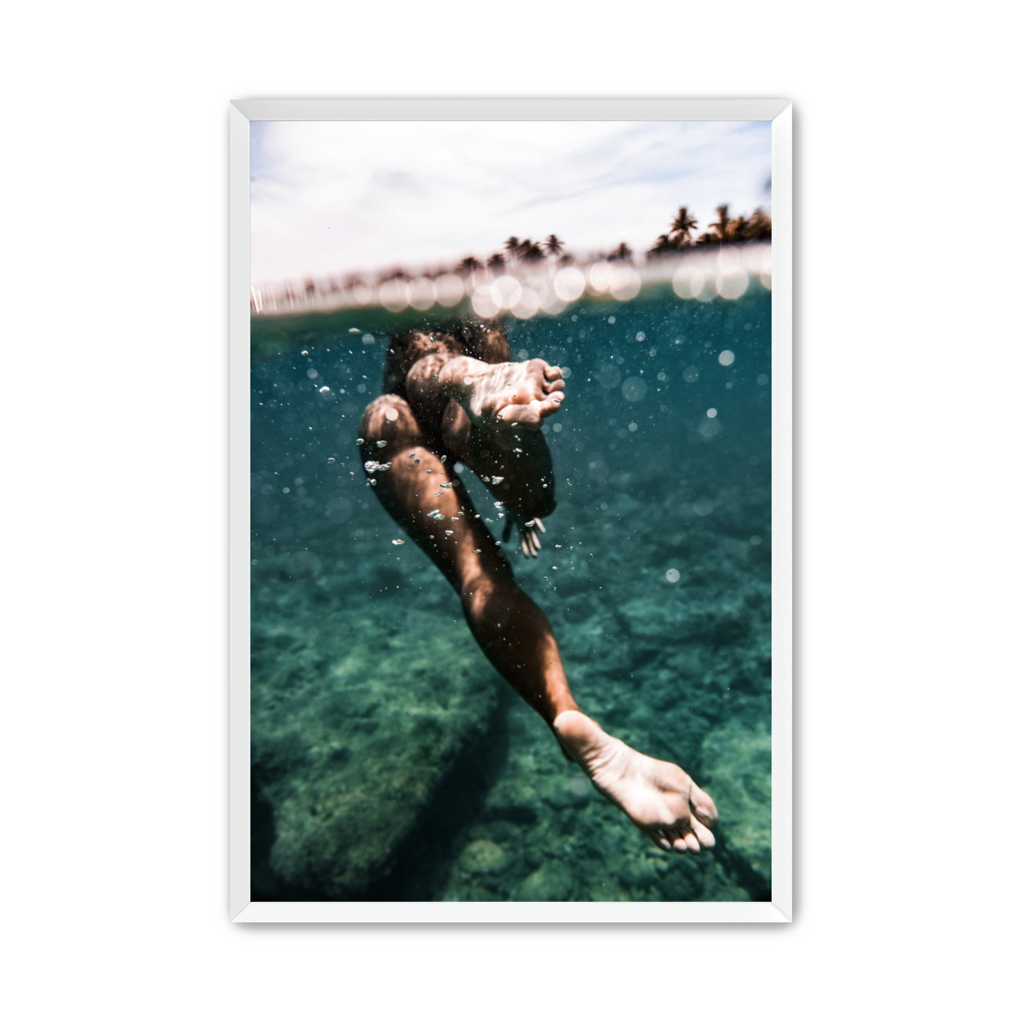 Morning Swim