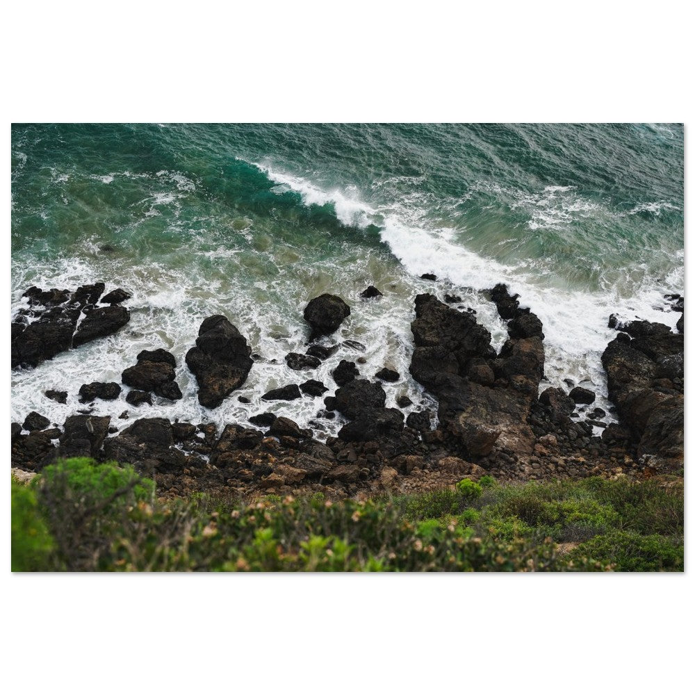 Sea Greens image 6