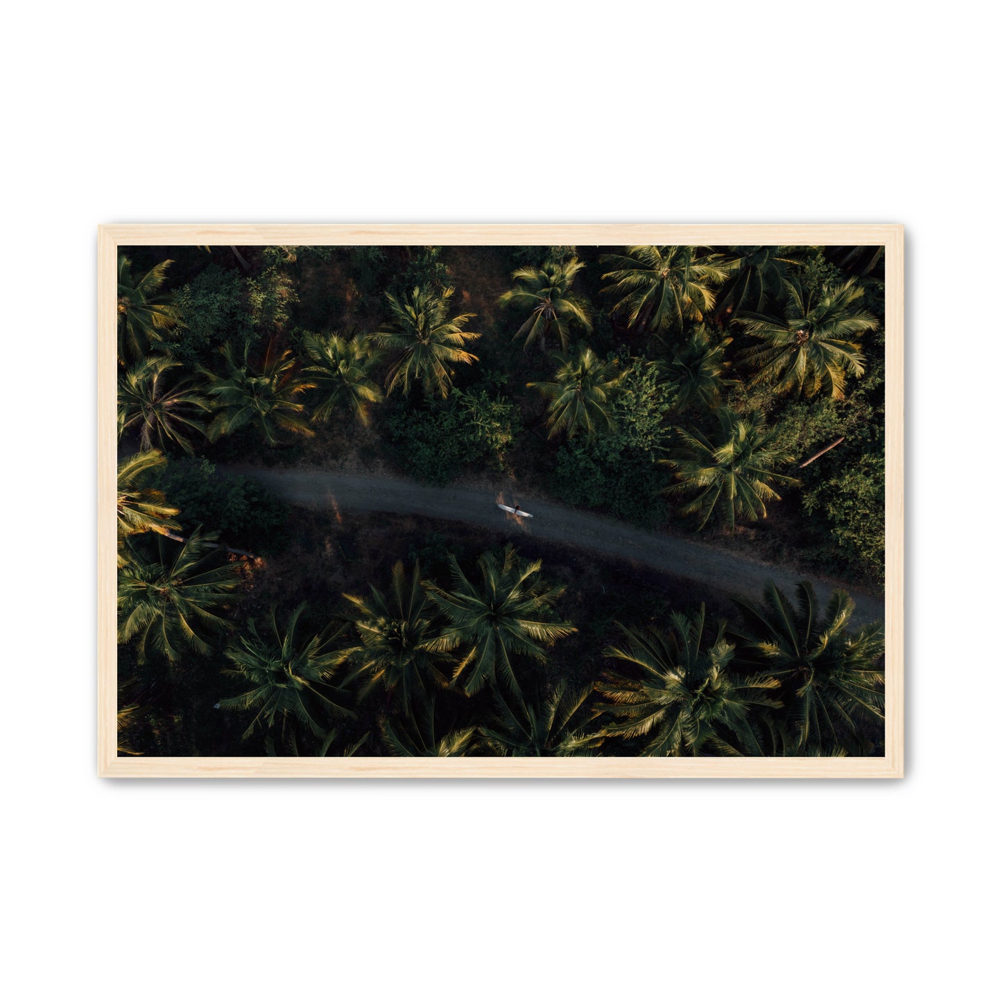Jungle Therapy II image 5