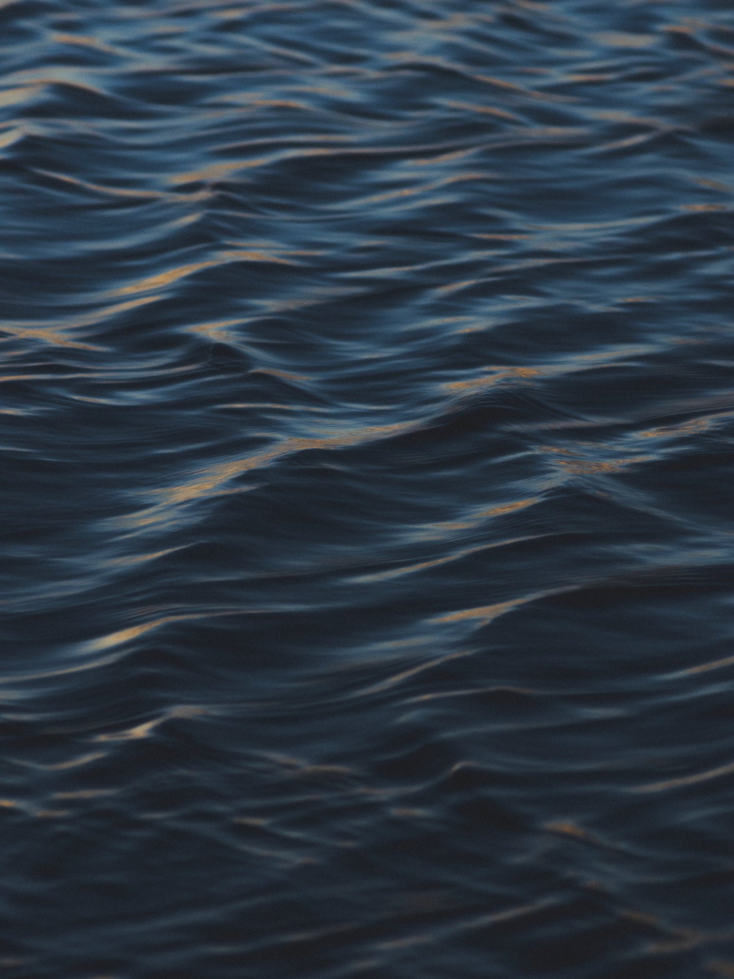 Shimmer - Wyncatcher image 1