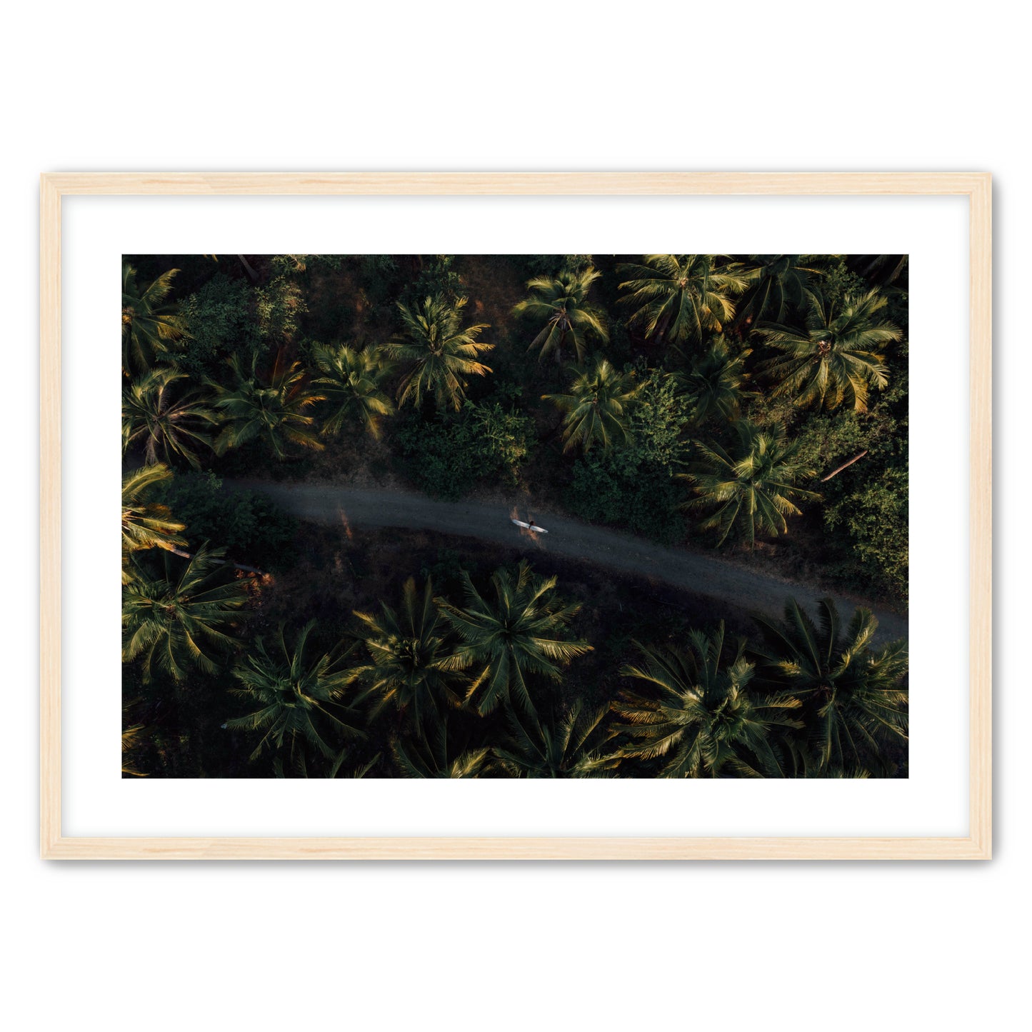 Jungle Therapy II image 2