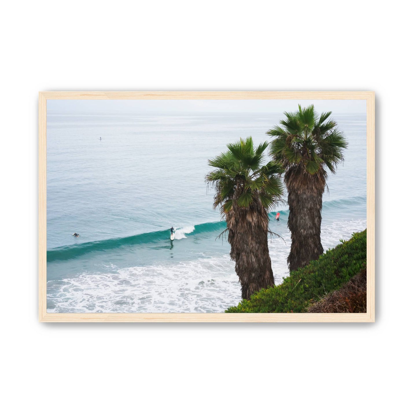 Sunday Swell image 5